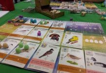 Orbis, Wingspan, Vinhos, Viticulture, Ganymède Moon, Clank! et CuBirds
