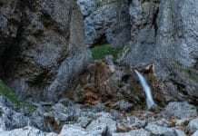 L’Ombre de la Mort chap. 1.1 Déna l’Intrépide