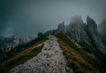 Battue pour le vaincu